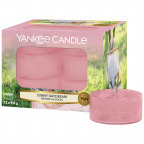 Yankee Candle® Duftende Teelichte "Sunny Daydream" (12 St.)