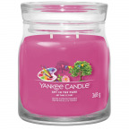 Yankee Candle® Signature "Art in the Park" Medium (1 St.)